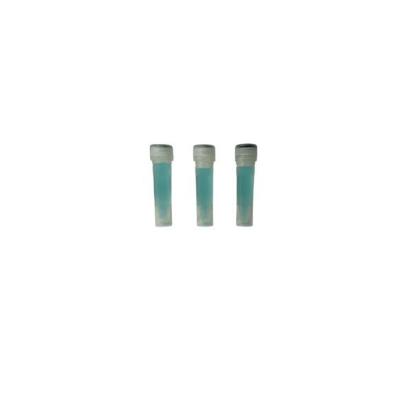 Tubo de Centrifugação 50ml Fundo Cônico Tipo Falcon com 25 Unidades